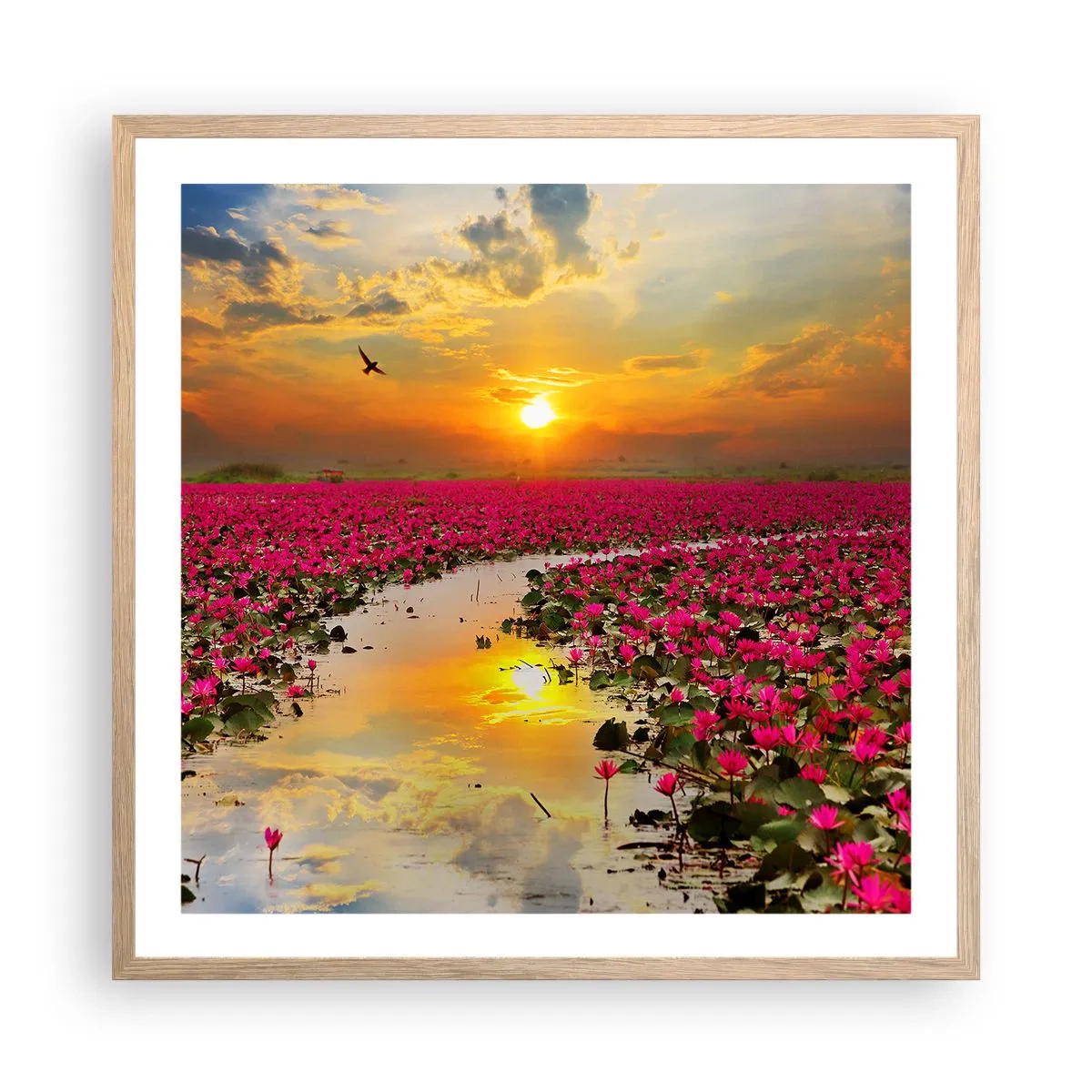 Affiche dans un chêne clair - Poster - La vie secrète du lac - 60x60 cm