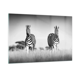 Impression sur verre - Image sur verre - Une paire de zèbres sur un fond d'herbe noir et blanc, représentés dans leur habitat naturel. - 120x80cm - Le monde est bel et bien noir et blanc - Décoration murale moderne pour le salon et la chambre ARTTOR