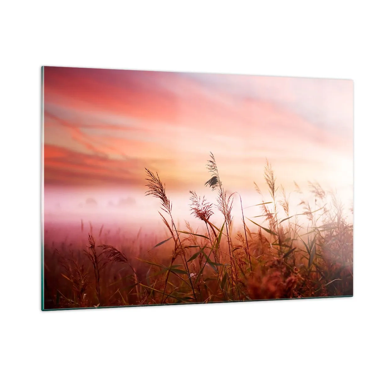 Impression sur verre - Image sur verre - Une prairie dans le brouillard du matin avec un ciel pastel - 120x80cm - Cerfs-volants, pissenlits, vent - Décoration murale moderne pour le salon et la chambre ARTTOR