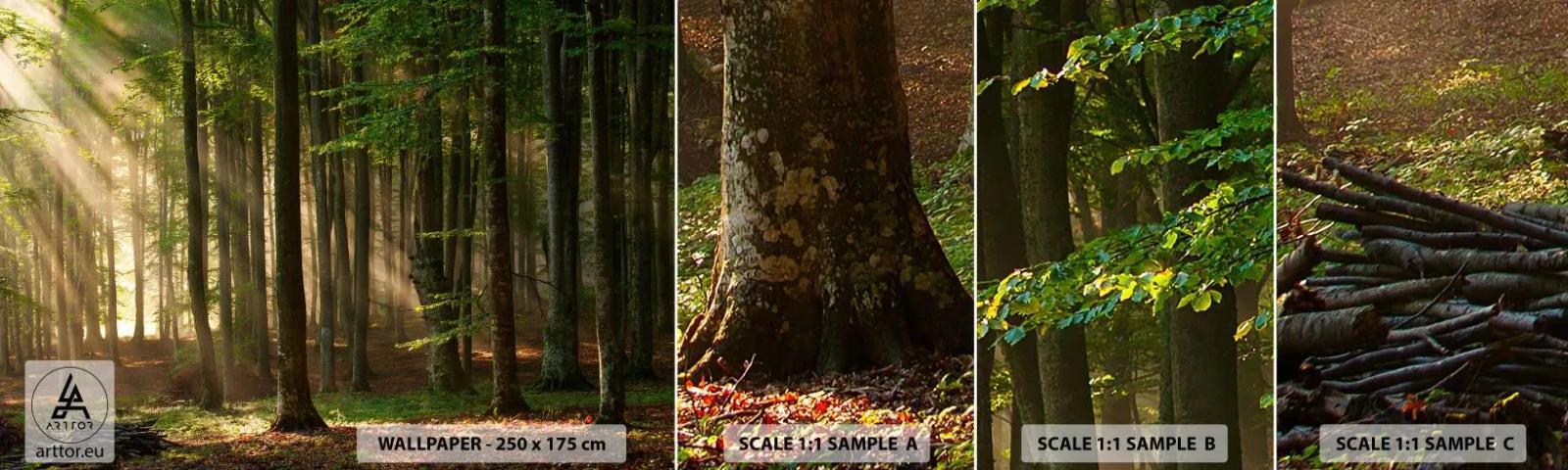 Échantillon de Papier Peint Autocollant Deluxe Sticker - Rayon d'un matin de printemps - Paysage, Forêt, Parc - 100x30 cm