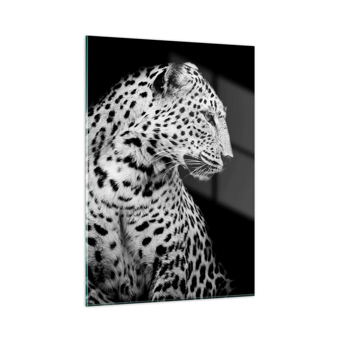 Impression sur verre - Image sur verre - Un léopard dans une lumière noire et blanche contre une fenêtre - 50x70cm - Presque un profil parfait! - Décoration murale moderne pour le salon et la chambre ARTTOR