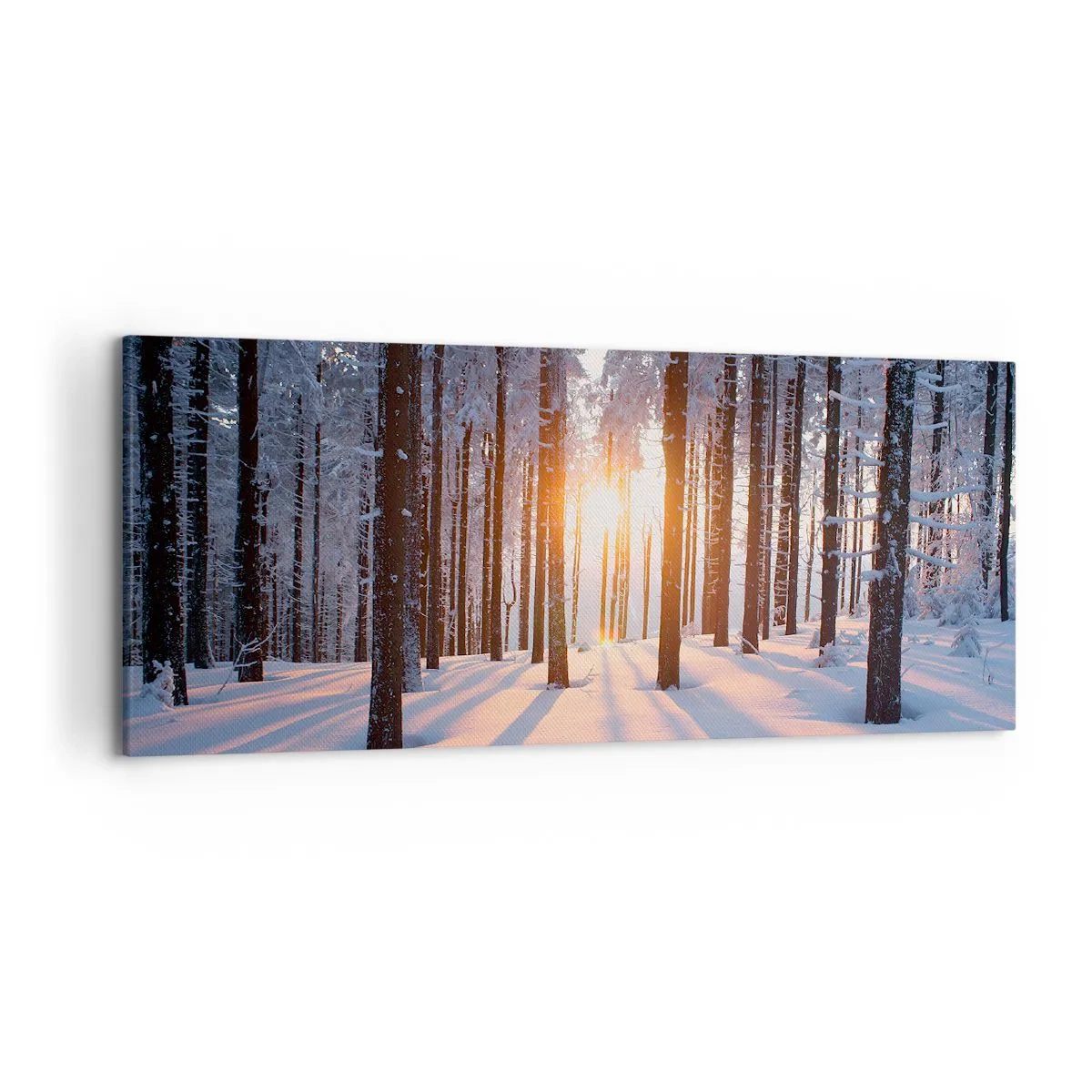 Impression sur toile - Image sur toile - Forêt d'hiver illuminée par les rayons du soleil - 120x50cm - Clairement en noir et blanc - Décoration murale moderne pour le salon et la chambre ARTTOR