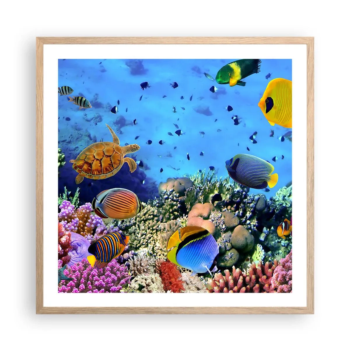 Affiche dans un chêne clair - Poster - Et que sait-on de la vie… - 60x60 cm