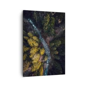 Impression sur toile - Image sur toile - Vue d'en haut d'une forêt avec une rivière sinueuse - 50x70cm - De plus en plus vite - Décoration murale moderne pour le salon et la chambre ARTTOR