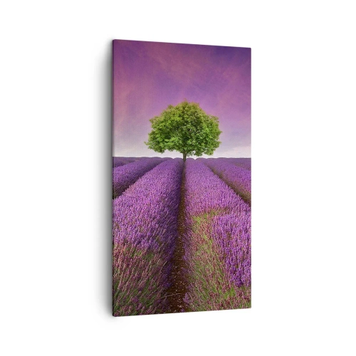 Impression sur toile - Image sur toile - Dans un champs de lavande - 45x80 cm
