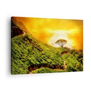 Impression sur toile - Image sur toile - Collines verdoyantes de plantations de thé au coucher du soleil - 70x50cm - Un chemin sinueux, une pente verte - Décoration murale moderne pour le salon et la chambre ARTTOR