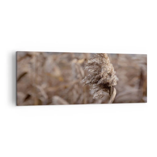 Impression sur toile - Image sur toile - Graminées délicates dans des tons beiges sur fond de nature - 140x50cm - Il est temps de s'envoler avec le vent - Décoration murale moderne pour le salon et la chambre ARTTOR