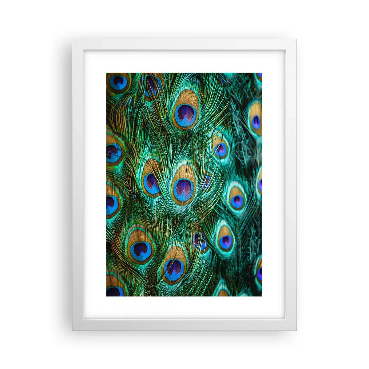 Affiche dans un cadre blanc - Poster - Un regard de paon - 30x40 cm