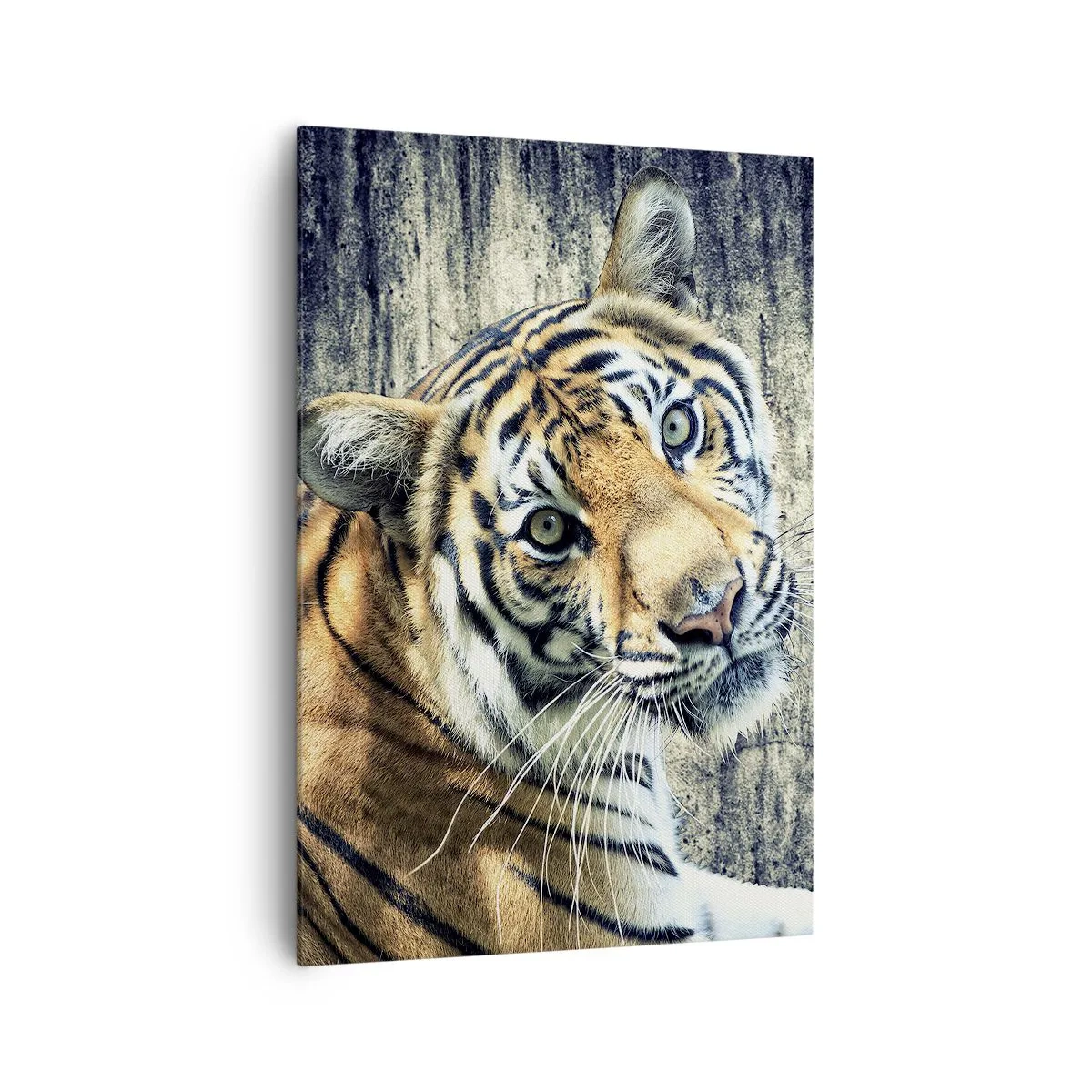 Impression sur toile - Image sur toile - Un tigre couché contre un mur à la texture rugueuse - 70x100cm - Portrait dans les flots de lumière - Décoration murale moderne pour le salon et la chambre ARTTOR
