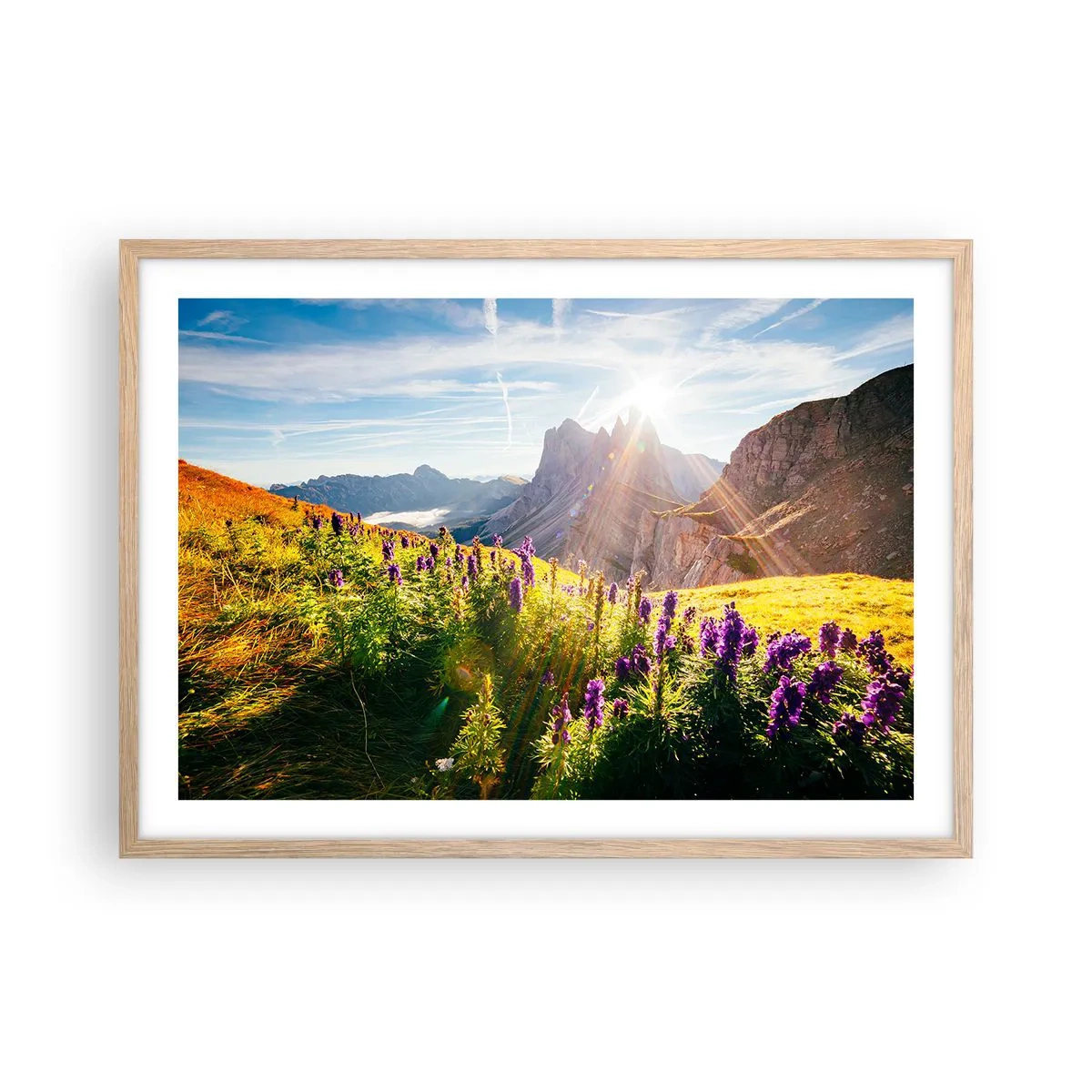 Affiche dans un chêne clair - Poster - La vie secrète des herbes - 70x50 cm