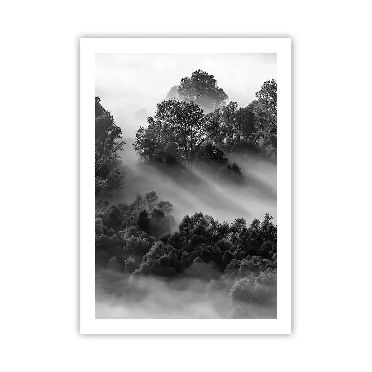 Affiche - Poster - Forêt brumeuse aux nuances de noir et blanc - 50x70cm - Sortir de son sommeil - Décoration murale moderne pour le salon et la chambre ARTTOR