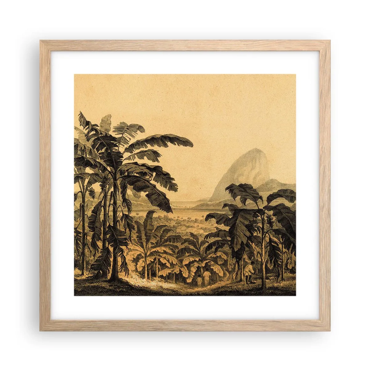 Affiche dans un chêne clair - Poster - Dans un climat colonial - 40x40 cm
