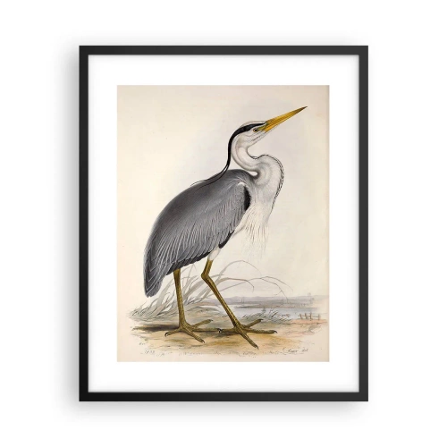 Affiche dans un cadre noir - Poster - Grâce au héron - 40x50 cm