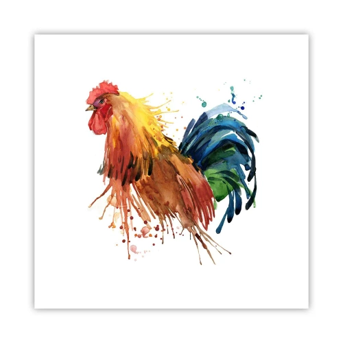 Affiche - Poster - Robe royale, fierté royale - 40x40 cm