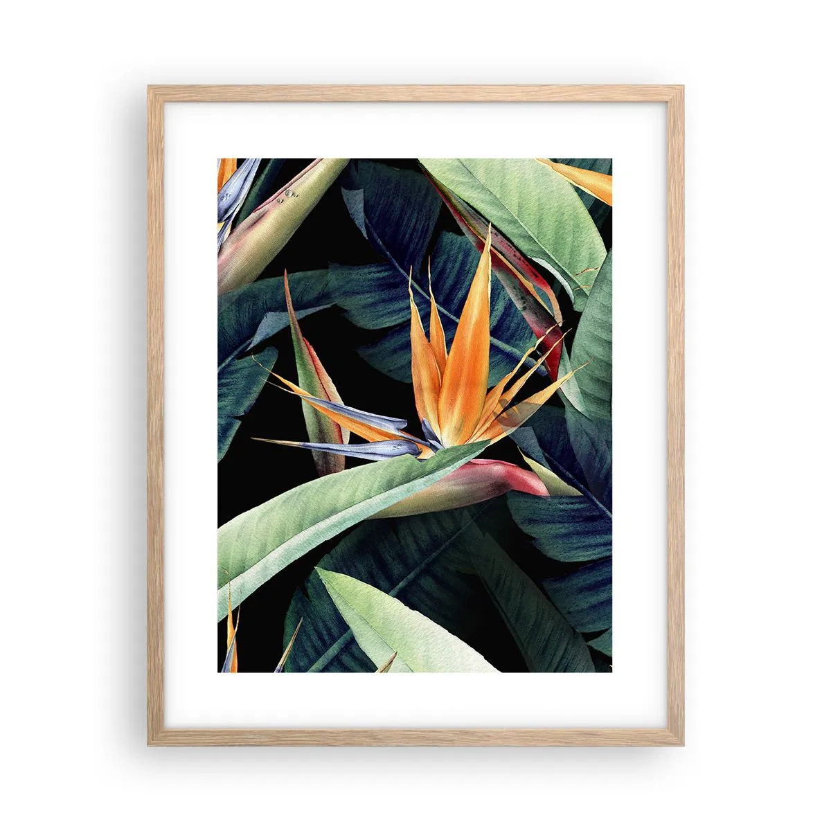 Affiche dans un chêne clair - Poster - Fleurs flamboyantes des tropiques - 40x50 cm