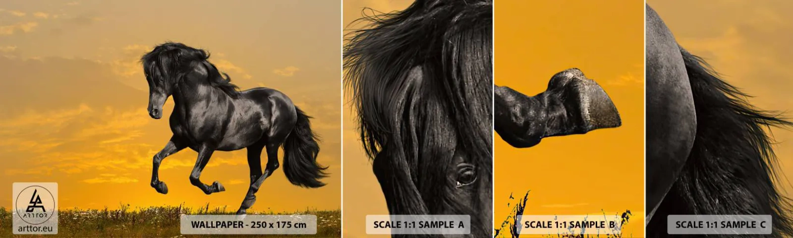 Échantillon de Papier Peint Autocollant Deluxe Sticker - Beau, libre et sauvage - Animaux, Cheval, Paysage - 100x30 cm