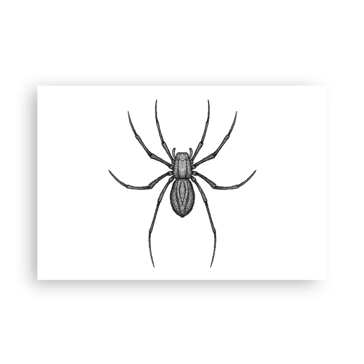 Affiche - Poster - Une précision troublante - 91x61 cm