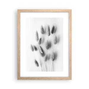 Affiche dans un chêne clair - Poster - Son herbe duveteuse - 30x40 cm