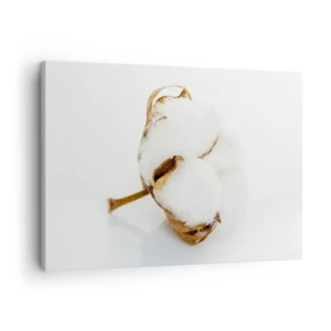 Impression sur toile - Image sur toile - Une branche de coton sur un fond clair dans une approche minimaliste - 70x50cm - Doux par nature - Décoration murale moderne pour le salon et la chambre ARTTOR