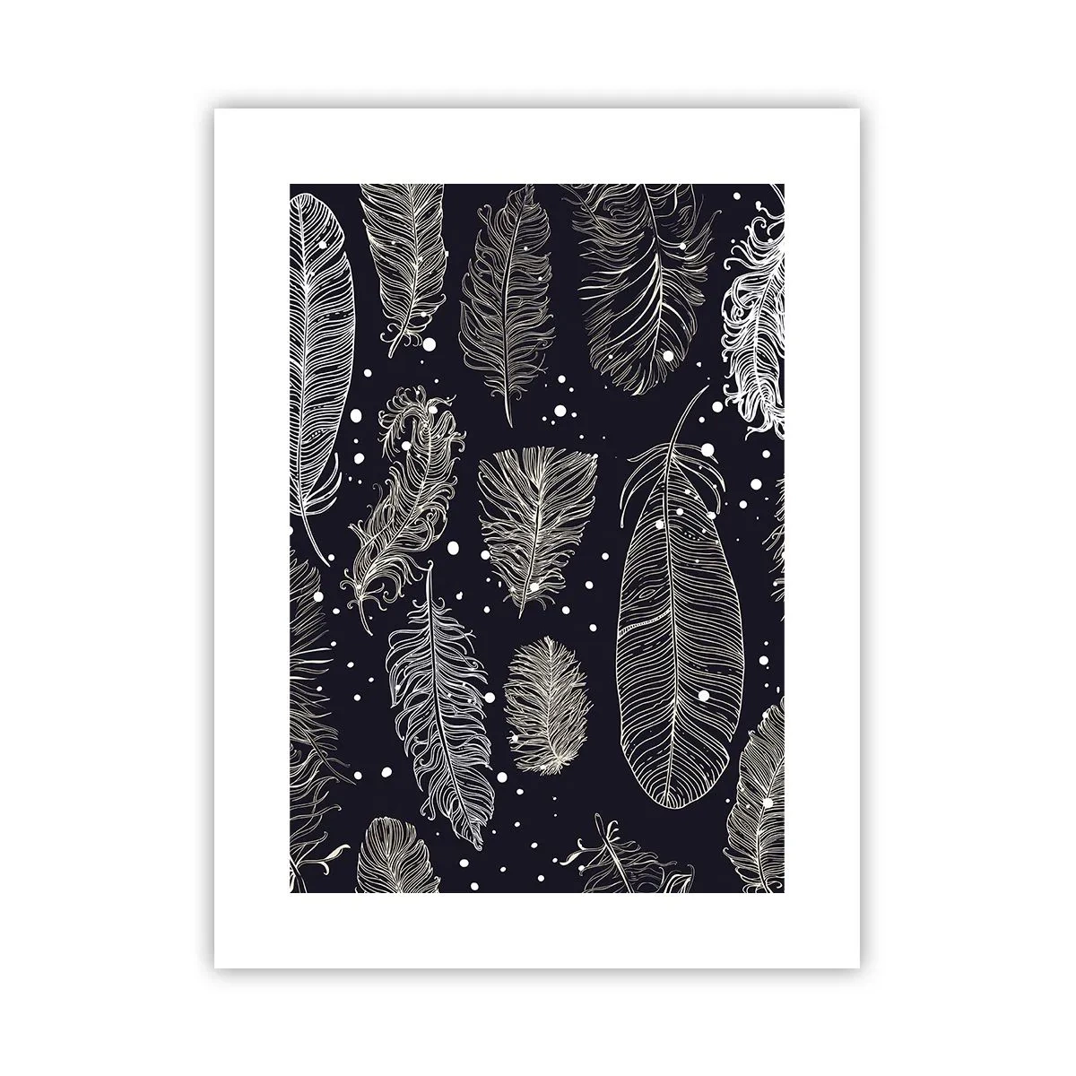 Affiche - Poster - Toile de plumes - 30x40 cm