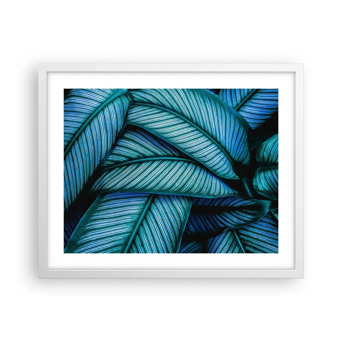 Affiche dans un cadre blanc - Poster - Lignes de vie - 50x40 cm