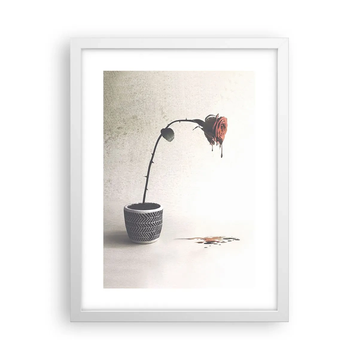 Affiche dans un cadre blanc - Poster - Rosa dolorosa - 30x40 cm