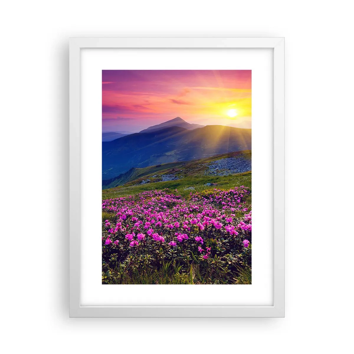 Affiche dans un cadre blanc - Poster - … Et autour, ça sent le pin des montagnes et l'odeur de la prairie - 30x40 cm