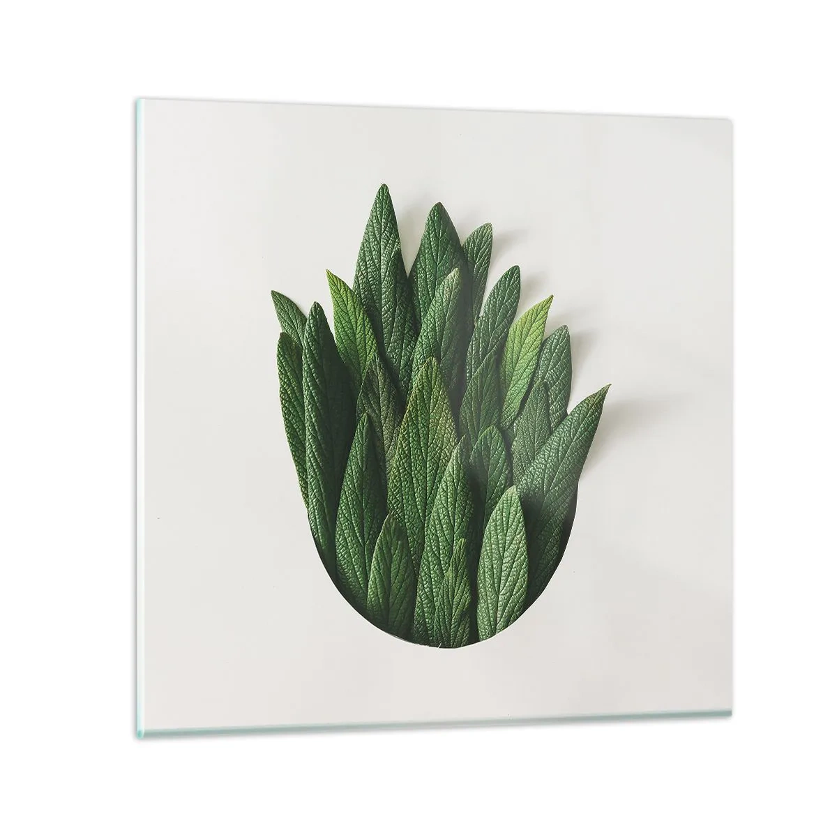 Impression sur verre - Image sur verre - Curiosité sans retenue - 70x70 cm