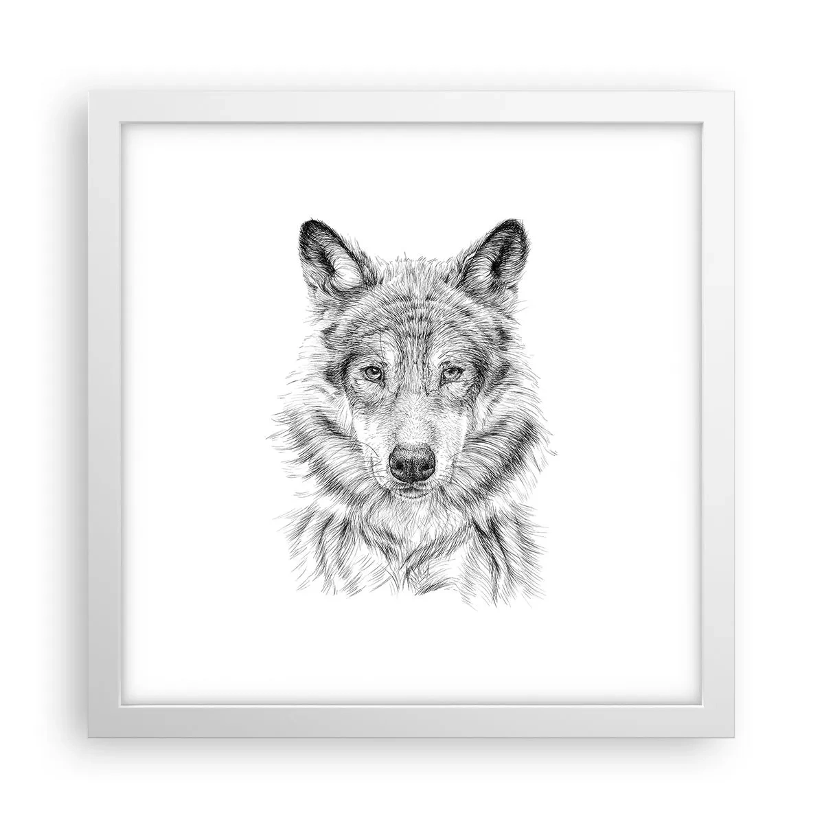 Affiche dans un cadre blanc - Poster - Un leader né - 30x30 cm