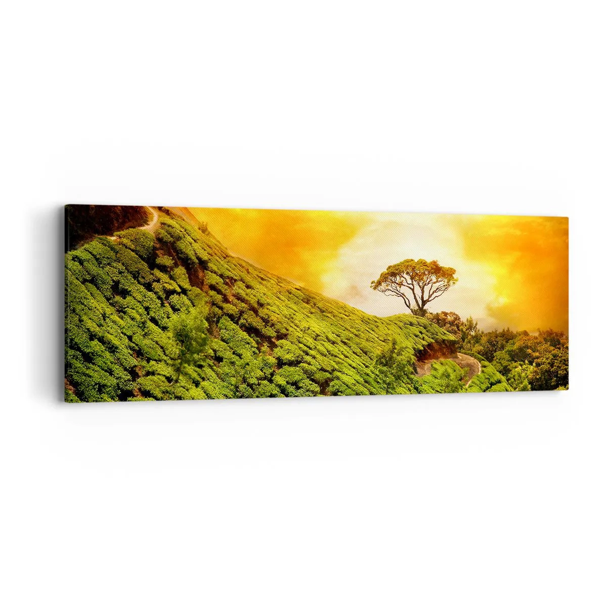 Impression sur toile - Image sur toile - Un chemin sinueux, une pente verte - 90x30 cm