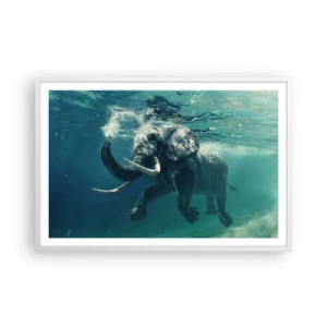 Affiche dans un cadre blanc - Poster - Tout le monde aime nager - 91x61 cm