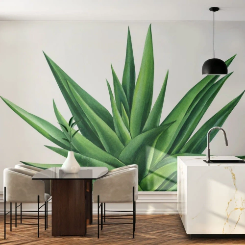 Papier Peint Photo Premium Canvas - Une plante verte juteuse sur fond blanc - 100x70cm - Vert – force – vie - Décoration murale moderne pour le salon et la chambre ARTTOR