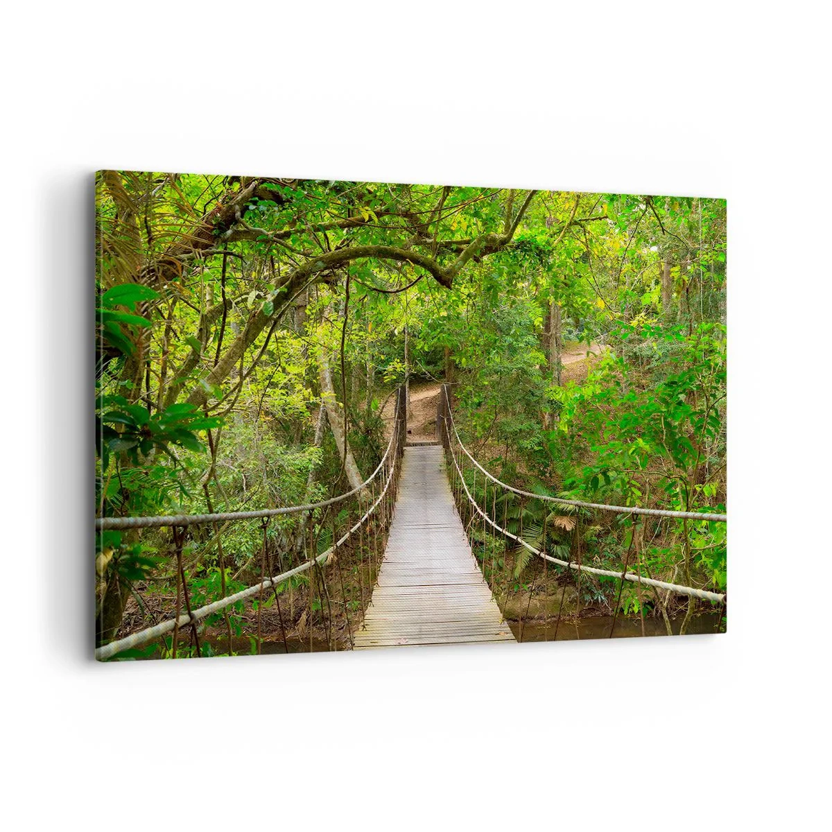 Impression sur toile - Image sur toile - Un pont suspendu entouré d'une forêt tropicale verte - 100x70cm - Parce qu'il y a une plante grimpante dans le jardin - Décoration murale moderne pour le salon et la chambre ARTTOR