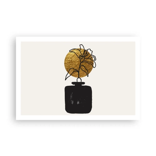 Affiche - Poster - La beauté vaut son pesant d'or - 91x61 cm