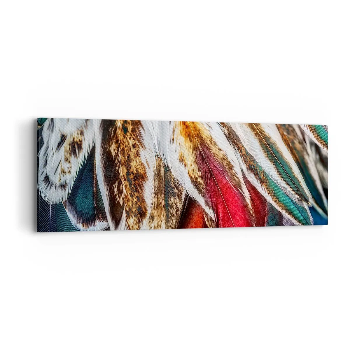 Impression sur toile - Image sur toile - Secrets de vol - 90x30 cm