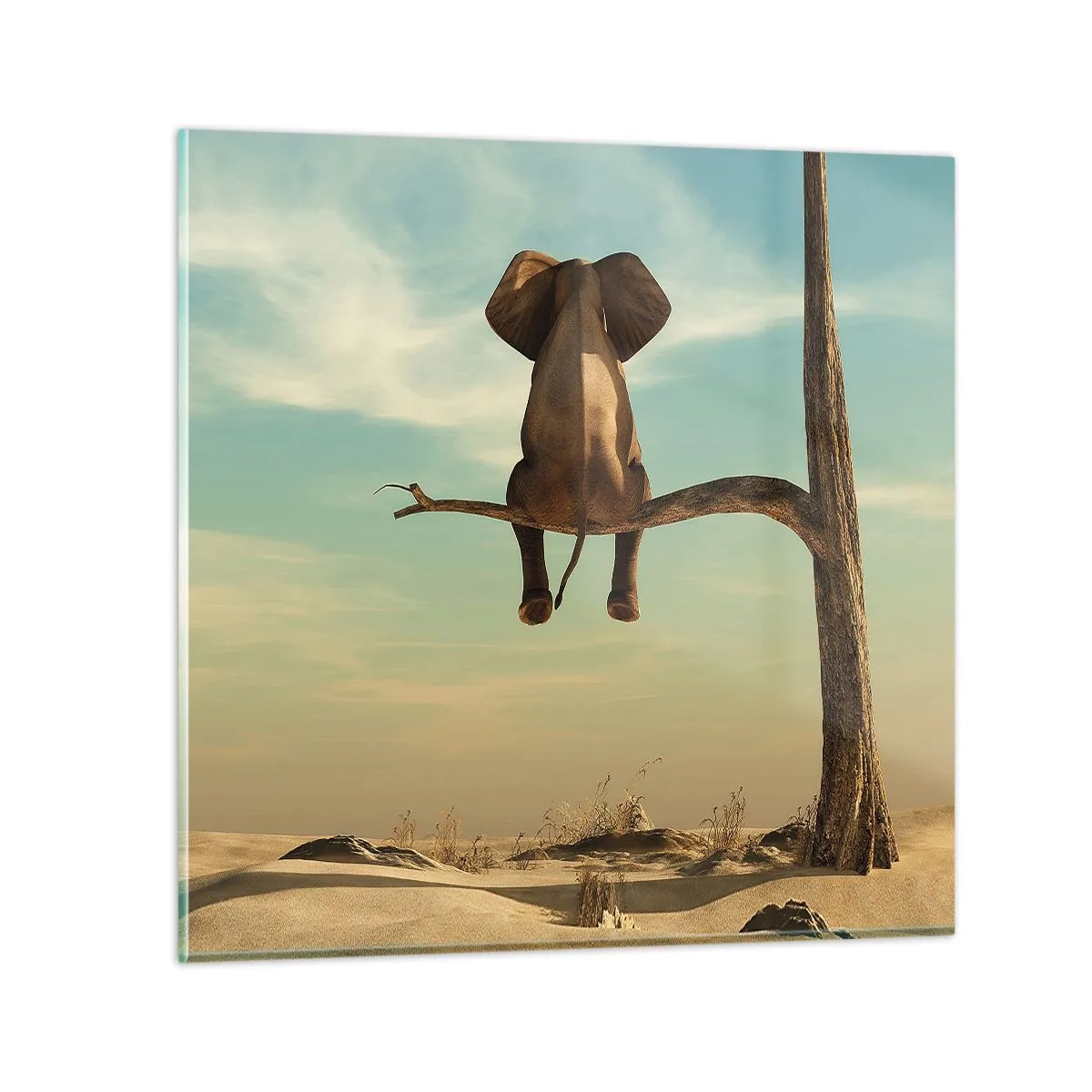 Impression sur verre - Image sur verre - Nouveau point de vue - 50x50 cm