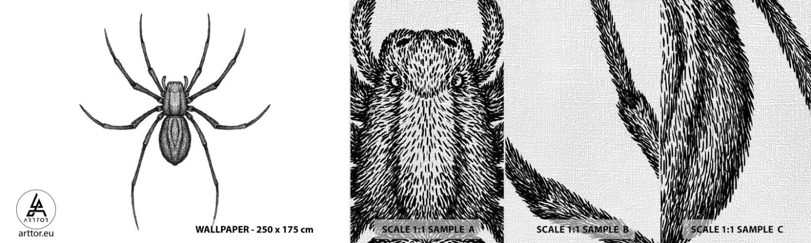 Échantillon de Papier Peint Premium Canvas - Une précision troublante - Araignée, Insecte, Minimaliste - 100x30 cm