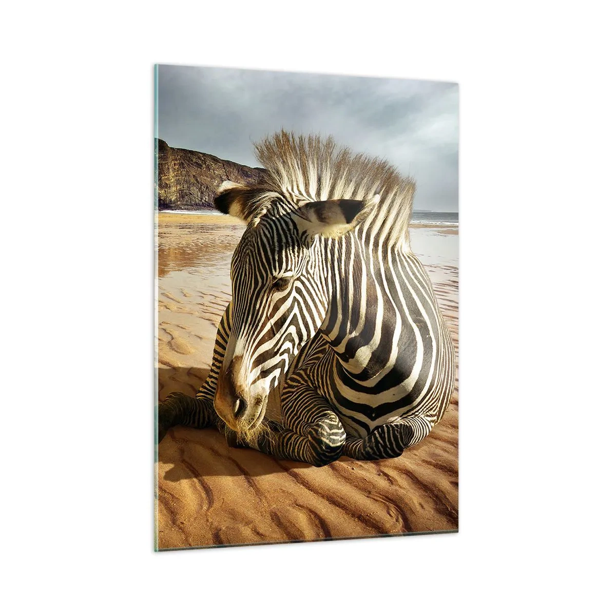 Impression sur verre - Image sur verre - Un zèbre se reposant sur la plage au coucher du soleil - 50x70cm - On va bien ensemble - Décoration murale moderne pour le salon et la chambre ARTTOR