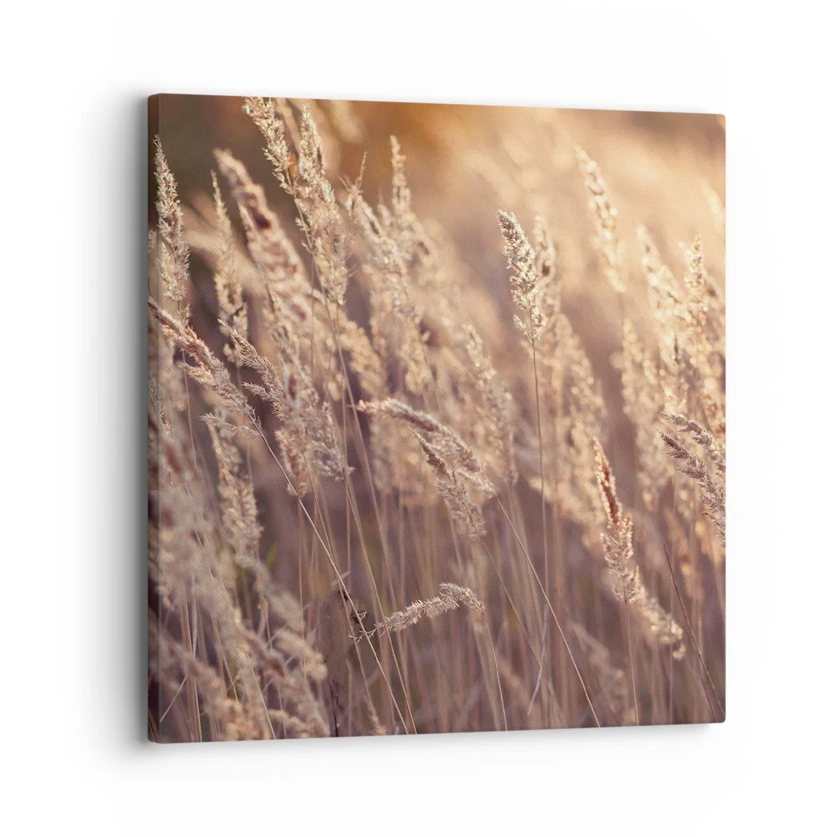 Impression sur toile - Image sur toile - Prêt à accueillir l'automne - 30x30 cm