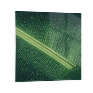Impression sur verre - Image sur verre - Structure de vert - 30x30 cm