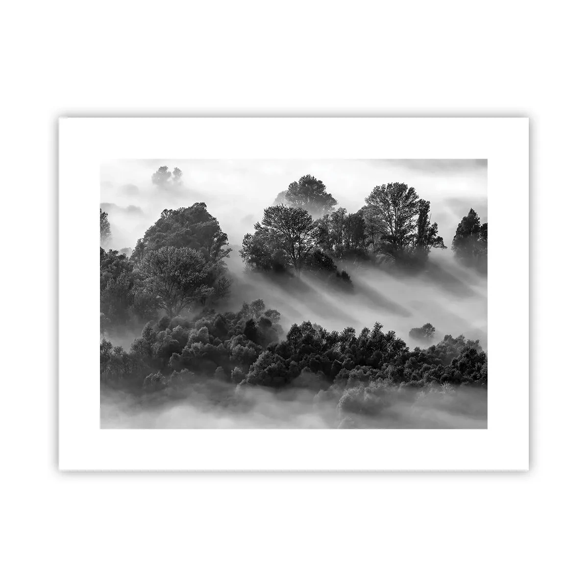 Affiche - Poster - Sortir de son sommeil - 40x30 cm