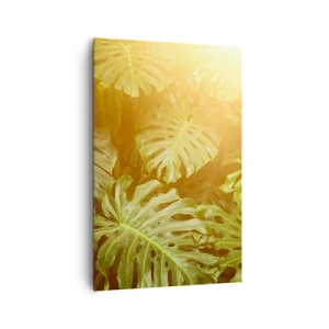 Impression sur toile - Image sur toile - Feuilles de Monstera au soleil sur fond naturel - 80x120cm - Se fondre dans la verdure - Décoration murale moderne pour le salon et la chambre ARTTOR