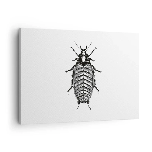 Impression sur toile - Image sur toile - Graphique d'un insecte noir et blanc sur fond blanc - 70x50cm - Quel spécimen! - Décoration murale moderne pour le salon et la chambre ARTTOR