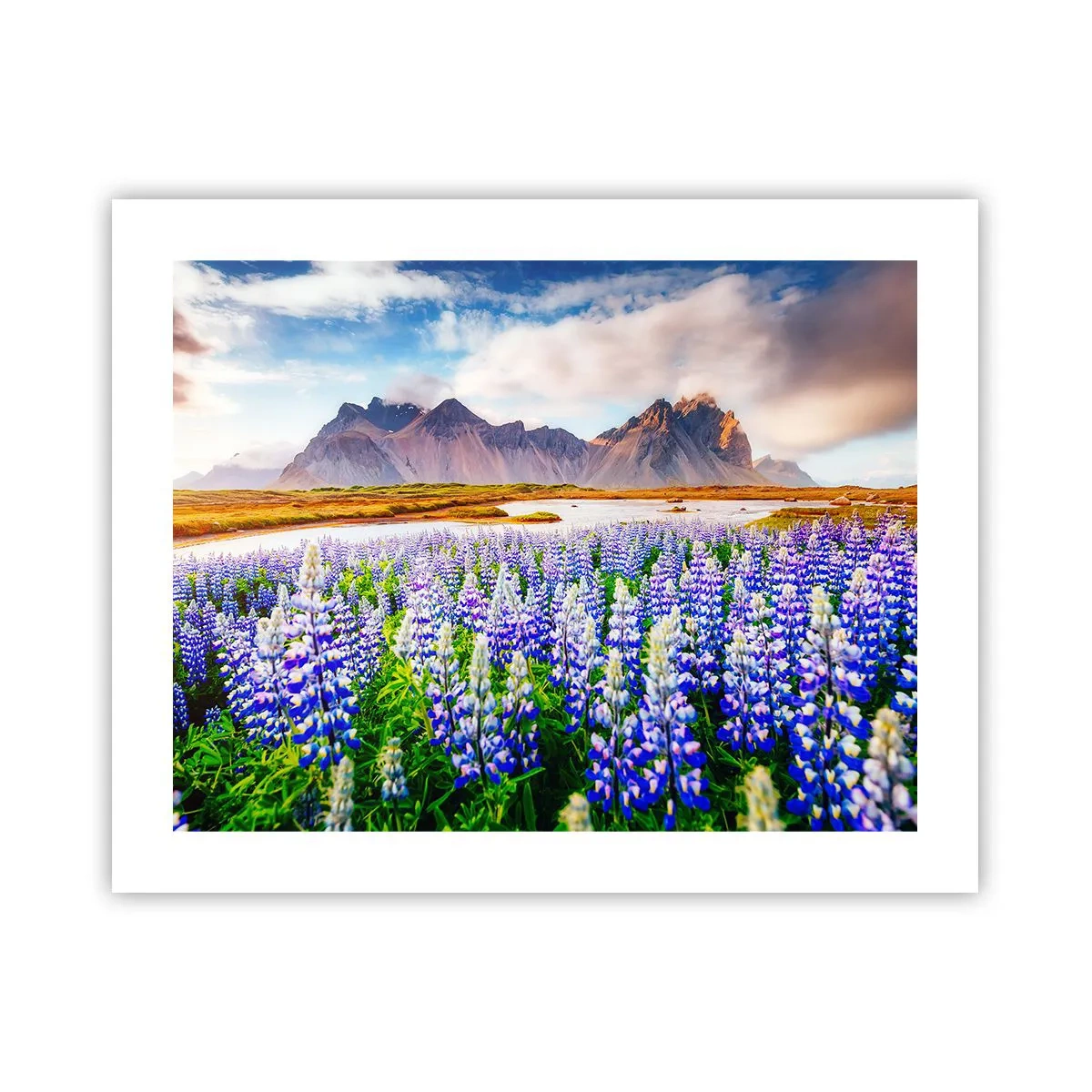 Affiche - Poster - La force et l'austérité côtoient la douceur - 50x40 cm