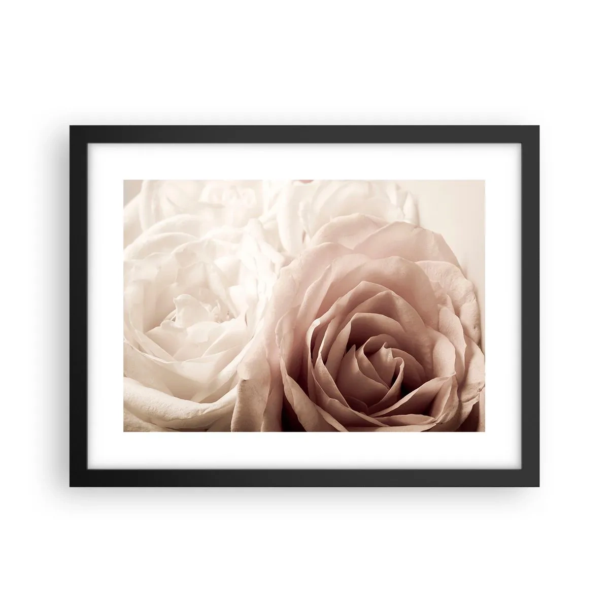 Affiche dans un cadre noir - Poster - Au coeur d'ue la rose - 40x30 cm