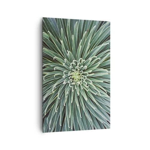 Impression sur toile - Image sur toile - Disposition symétrique de feuilles vertes ressemblant à une étoile - 80x120cm - Naissance d'une étoile - Décoration murale moderne pour le salon et la chambre ARTTOR