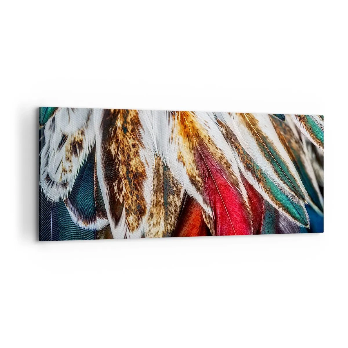 Impression sur toile - Image sur toile - Secrets de vol - 100x40 cm
