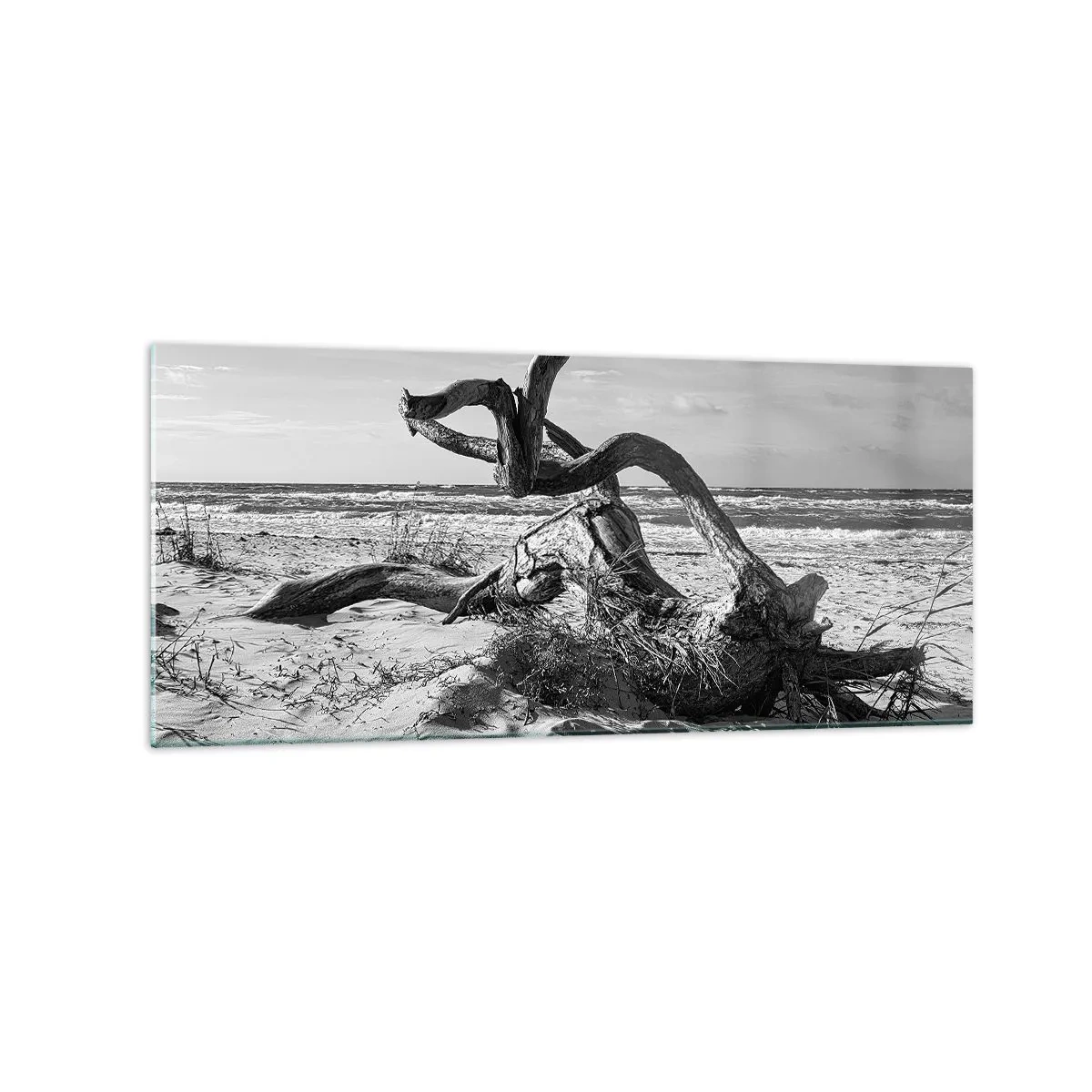 Impression sur verre - Image sur verre - Paysage noir et blanc avec un arbre mort sur la plage - 120x50cm - Sculpture marine - Décoration murale moderne pour le salon et la chambre ARTTOR