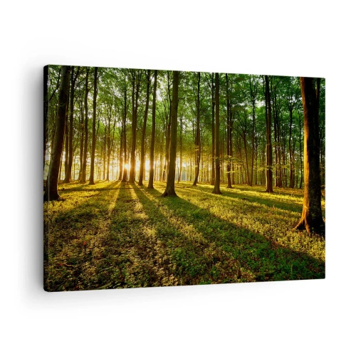 Impression sur toile - Image sur toile - Le soleil couchant dans la forêt de feuillus - 70x50cm - Toutes les photographies de printemps - Décoration murale moderne pour le salon et la chambre ARTTOR