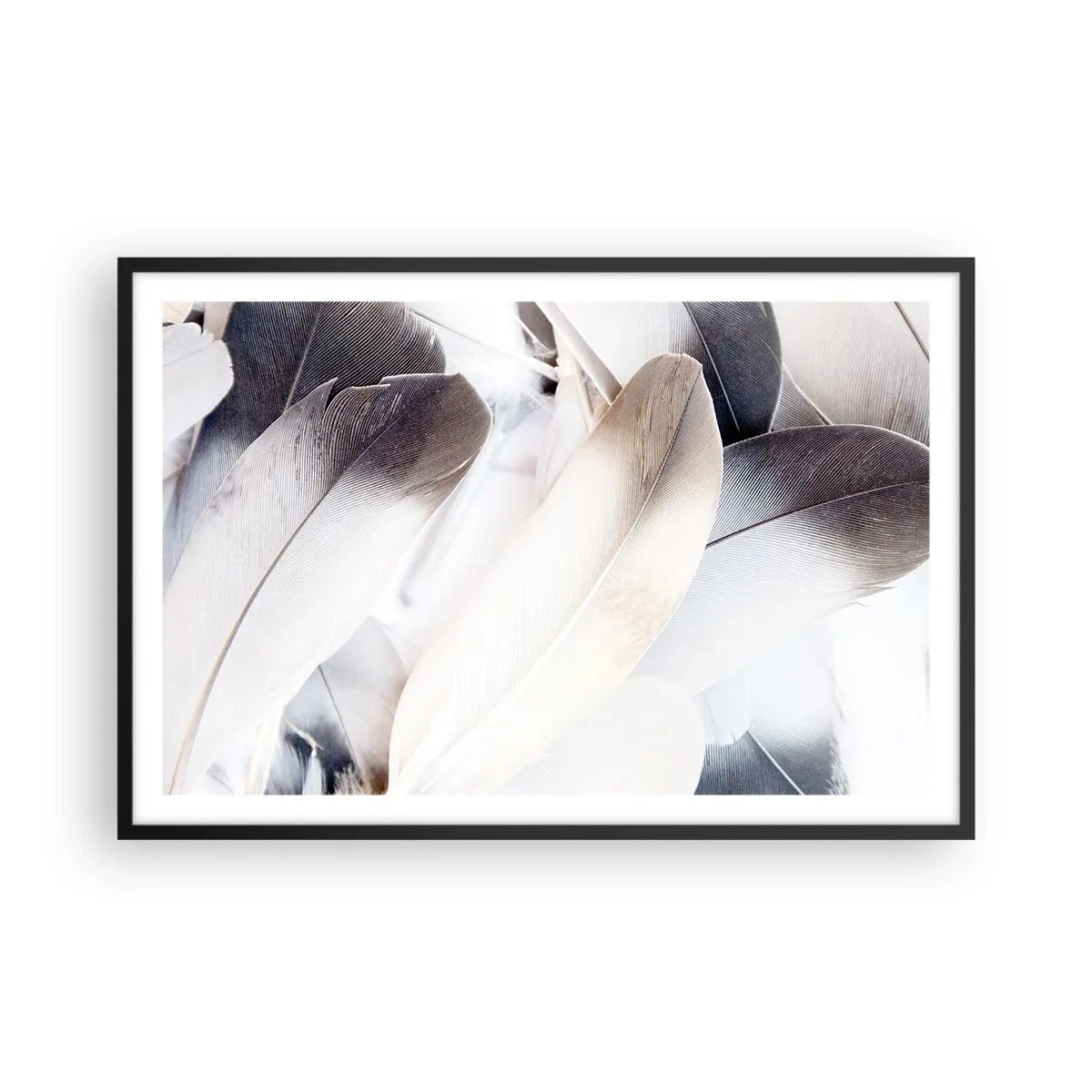 Affiche dans un cadre noir - Poster - Presque angélique - 91x61 cm